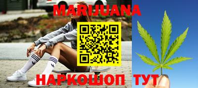 прущие крисы Можга