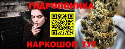 spice Моздок