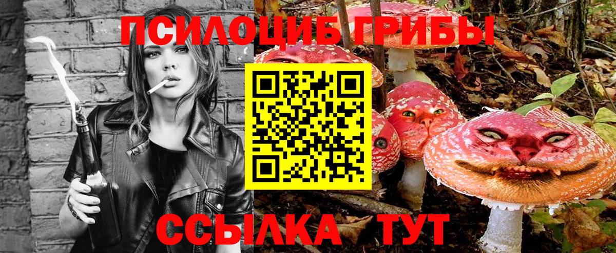 Галлюциногенные грибы Cubensis Бугуруслан